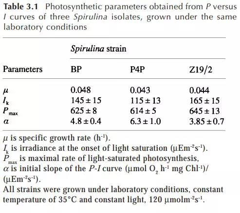 آداپته شدن نوری