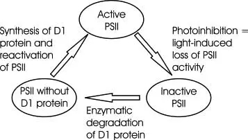 بازدارندگی نوری