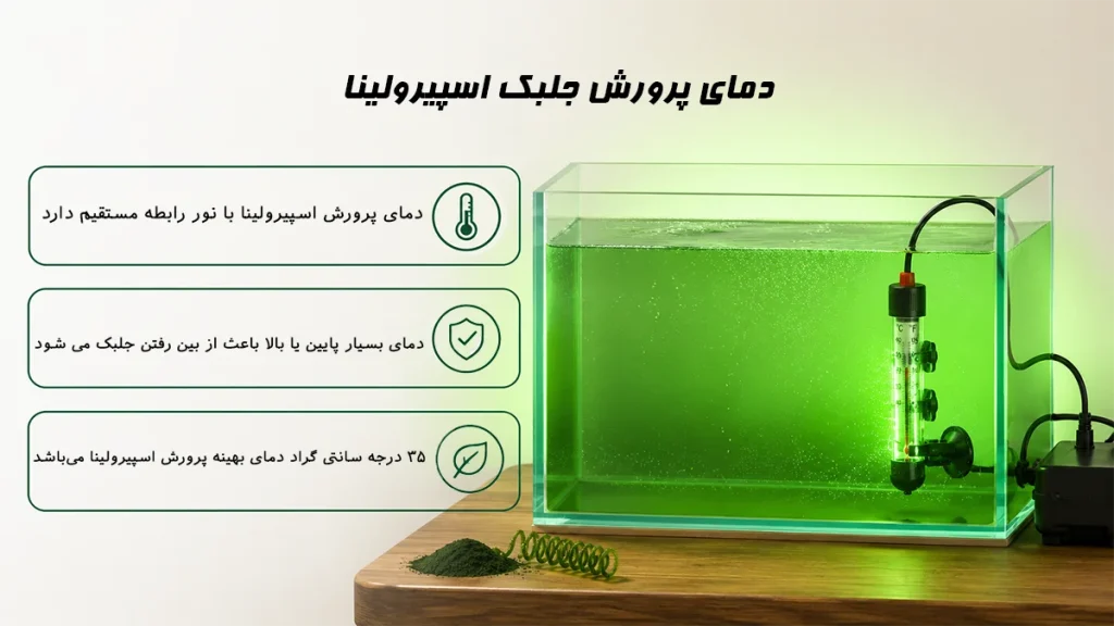 بخاری آکواریومی در ظرف پرورش جلبک اسپیرولینا