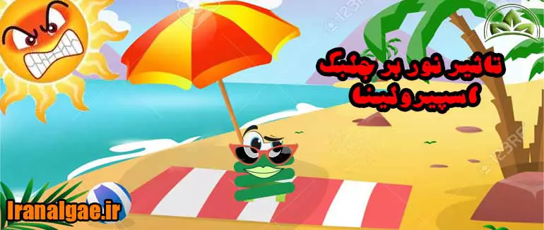 تاثیر نور بر جلبک اسپیرولینا