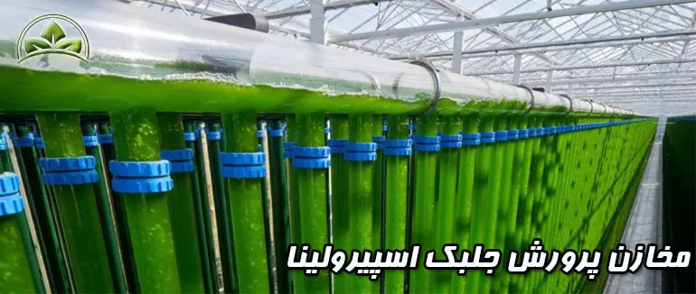 مخازن پرورش جلبک اسپیرولینا