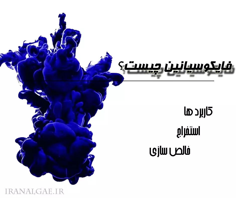 فیکوسیانین چیست؟