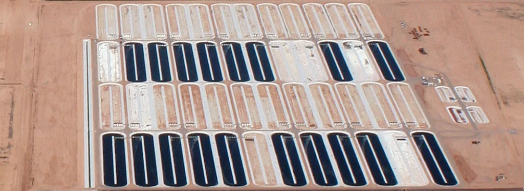 مزرعه جلبکی