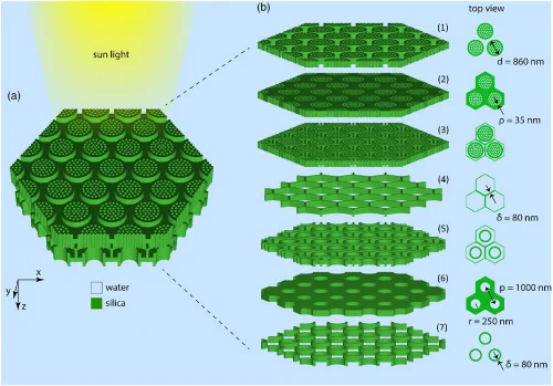 how to focus light copy این تصویر نشان میدهد که چگونه ساختار دیاتومه نور را در یک نقطه متمرکز می کند
